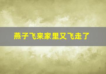 燕子飞来家里又飞走了