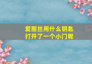 爱丽丝用什么钥匙打开了一个小门呢