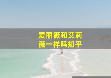 爱丽薇和艾莉薇一样吗知乎