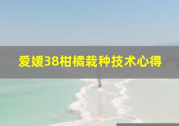 爱媛38柑橘栽种技术心得