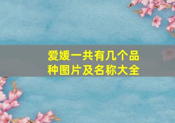 爱媛一共有几个品种图片及名称大全