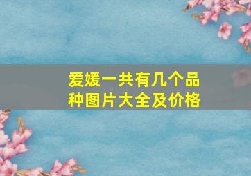 爱媛一共有几个品种图片大全及价格