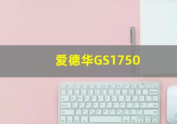 爱德华GS1750