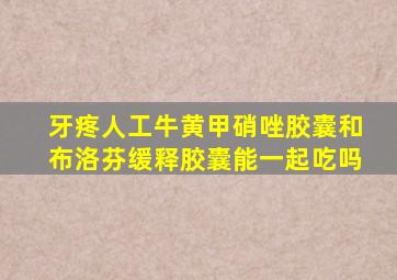 牙疼人工牛黄甲硝唑胶囊和布洛芬缓释胶囊能一起吃吗