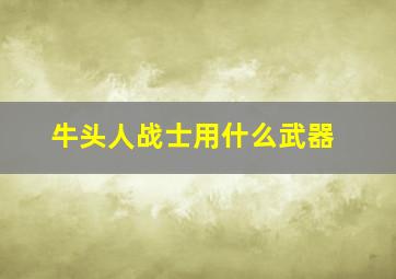 牛头人战士用什么武器