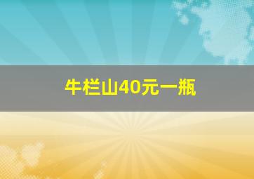 牛栏山40元一瓶