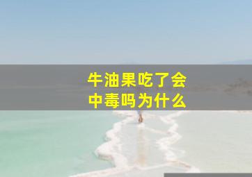 牛油果吃了会中毒吗为什么