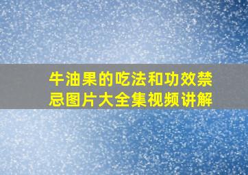 牛油果的吃法和功效禁忌图片大全集视频讲解