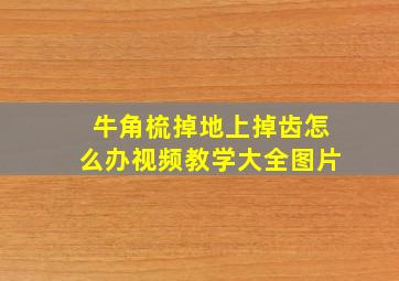 牛角梳掉地上掉齿怎么办视频教学大全图片