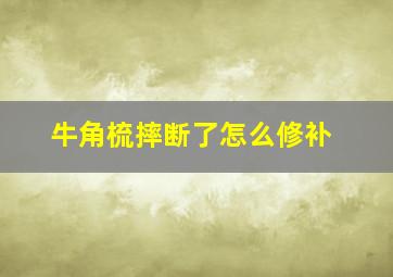 牛角梳摔断了怎么修补