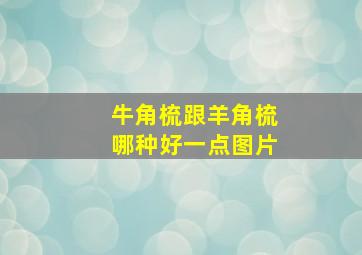 牛角梳跟羊角梳哪种好一点图片