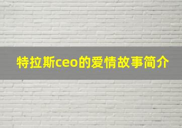 特拉斯ceo的爱情故事简介