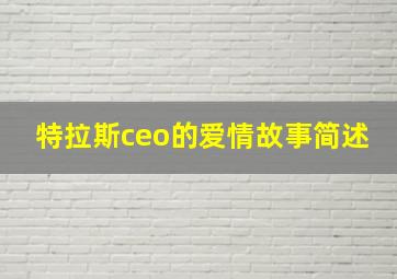 特拉斯ceo的爱情故事简述