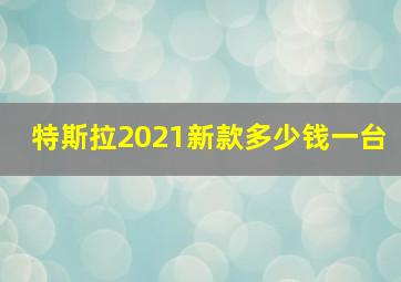 特斯拉2021新款多少钱一台