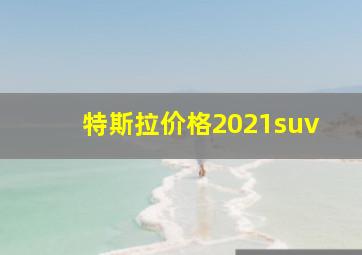 特斯拉价格2021suv