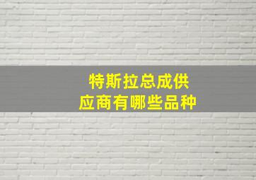 特斯拉总成供应商有哪些品种