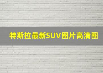 特斯拉最新SUV图片高清图