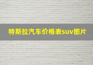 特斯拉汽车价格表suv图片