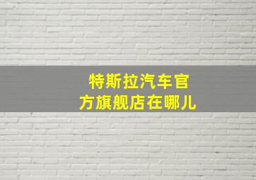 特斯拉汽车官方旗舰店在哪儿