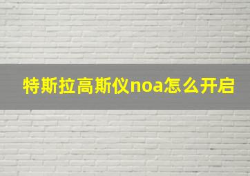 特斯拉高斯仪noa怎么开启