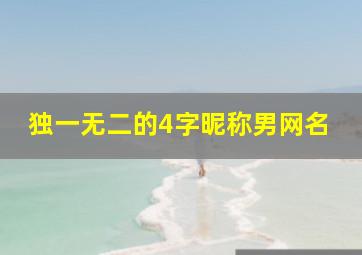 独一无二的4字昵称男网名