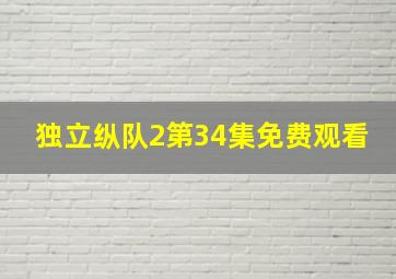 独立纵队2第34集免费观看