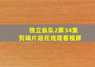 独立纵队2第34集剪辑片段在线观看视屏