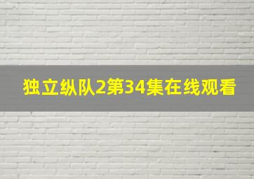 独立纵队2第34集在线观看