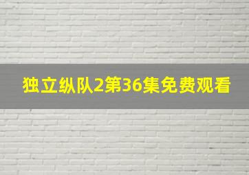 独立纵队2第36集免费观看