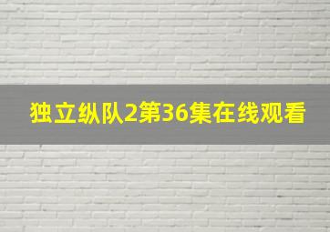 独立纵队2第36集在线观看