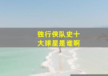 独行侠队史十大球星是谁啊