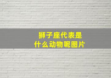 狮子座代表是什么动物呢图片