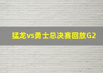 猛龙vs勇士总决赛回放G2