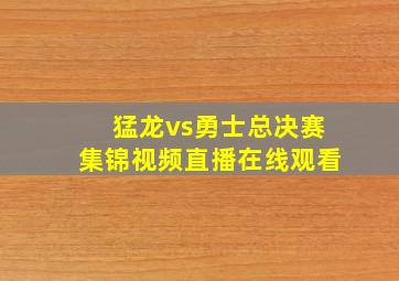 猛龙vs勇士总决赛集锦视频直播在线观看