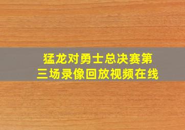 猛龙对勇士总决赛第三场录像回放视频在线