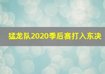 猛龙队2020季后赛打入东决