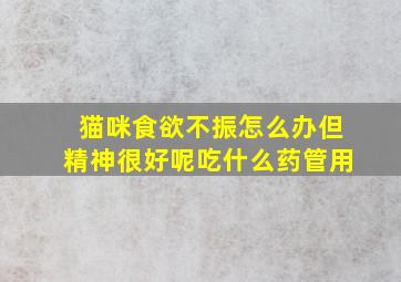 猫咪食欲不振怎么办但精神很好呢吃什么药管用