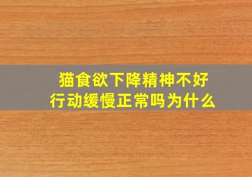 猫食欲下降精神不好行动缓慢正常吗为什么