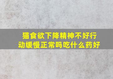 猫食欲下降精神不好行动缓慢正常吗吃什么药好