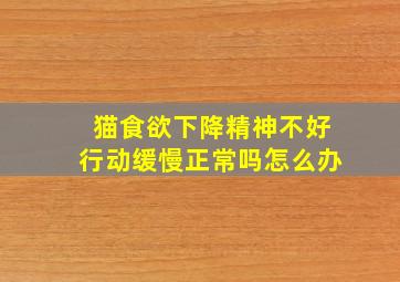 猫食欲下降精神不好行动缓慢正常吗怎么办