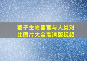 猴子生物器官与人类对比图片大全高清版视频