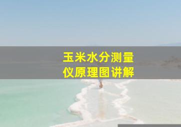 玉米水分测量仪原理图讲解