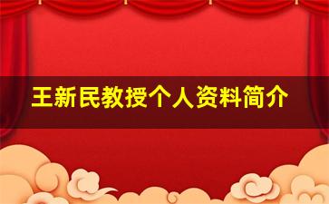 王新民教授个人资料简介