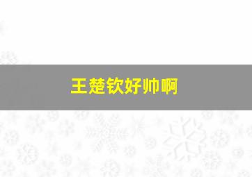 王楚钦好帅啊