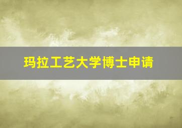 玛拉工艺大学博士申请