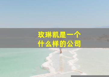 玫琳凯是一个什么样的公司