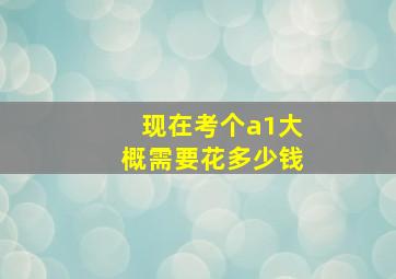 现在考个a1大概需要花多少钱