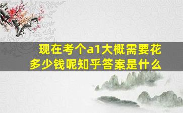 现在考个a1大概需要花多少钱呢知乎答案是什么