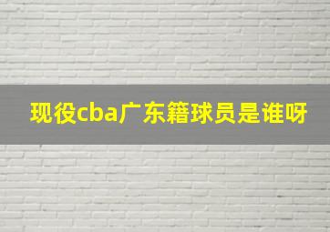 现役cba广东籍球员是谁呀