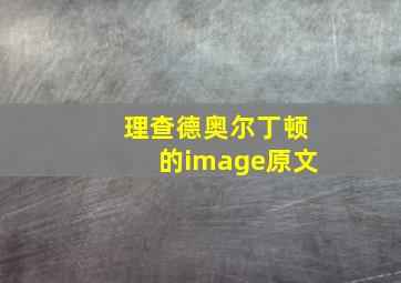 理查德奥尔丁顿的image原文